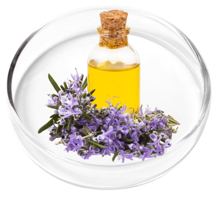 Lavender Oil used in the KeraFirm Pro merchant formula presentation