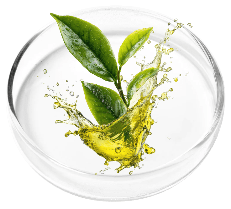 Tea Tree Oil used in the KeraFirm Pro merchant formula presentation