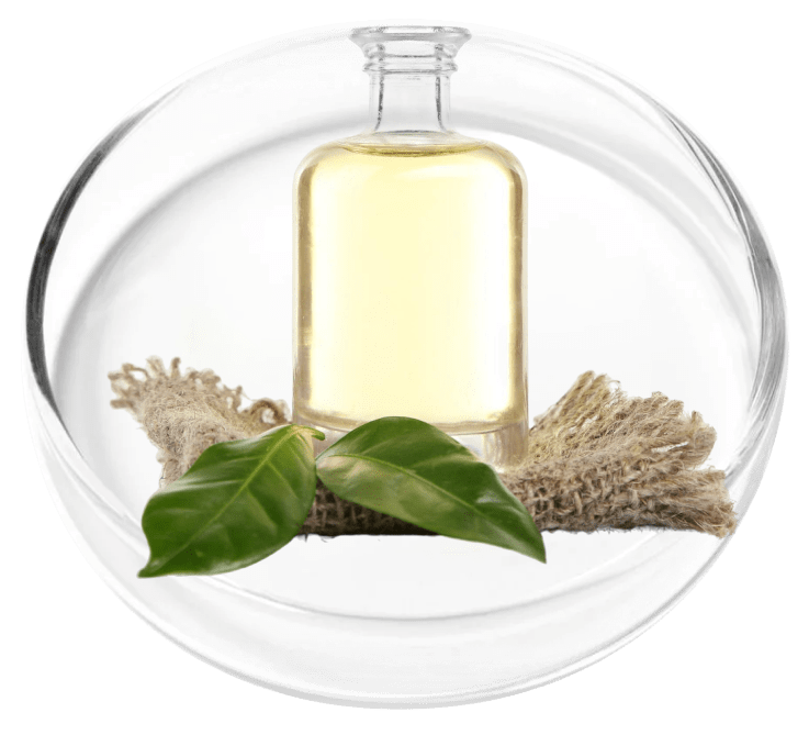 Camphor Oil used in the KeraFirm Pro merchant formula presentation