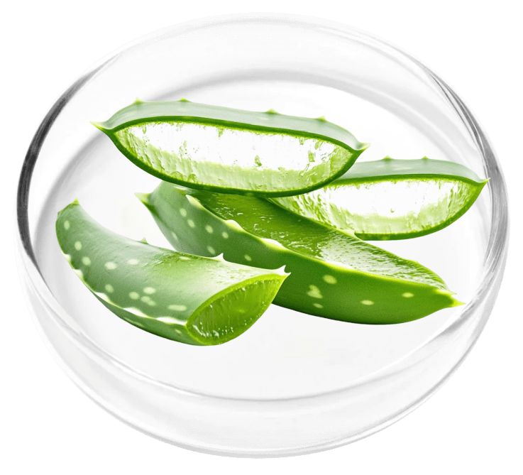 Aloe Vera used in the KeraFirm Pro merchant formula presentation